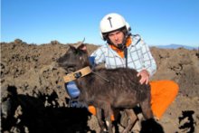 Mark Chynoweth Tracking Goat